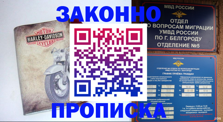 прописка для школы в Бодайбо